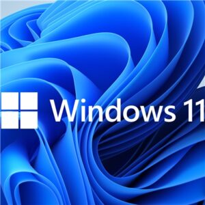 Software Microsoft Windows 11 Professional 64bit Dvd Oem Fqc-10538