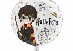 Piatto18 Tondo Harry Potter